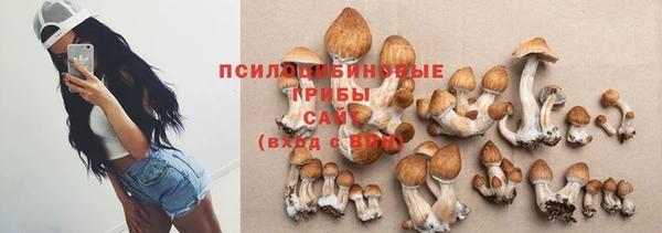 гидра Беломорск
