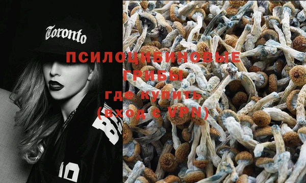 ECSTASY Балахна