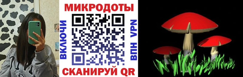 Галлюциногенные грибы мухоморы  цены наркотик  OMG как зайти  Щёкино 